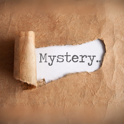 "Out on the Town!" Holiday Sparkle Flash Sale | Nov 8 ONLY | 15% off