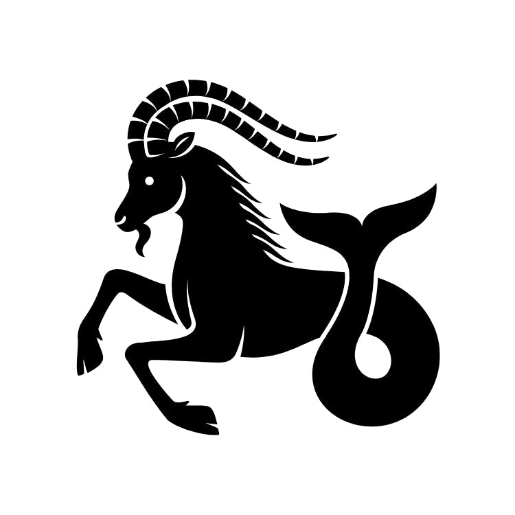 Capricorn Zodiac Gemstones | December 22 - January 20