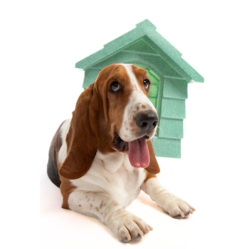 Get Out of the Doghouse