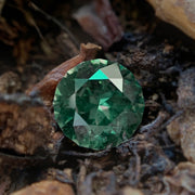 Unheated Montana Sapphire, 1.30ct - "Spirit of the Forest"