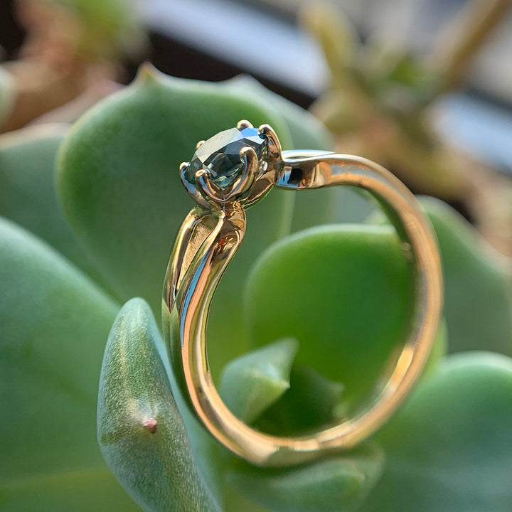 Teal Montana Sapphire & Yellow Gold Ring - "Stag"