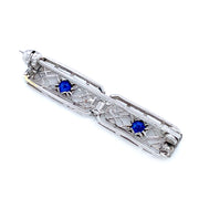 Platinum & Sapphire pin