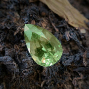 Montana Sapphire, 2.50ct - "Forest Dream"