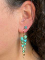 One-of-a-Kind Sleeping Beauty Turquoise Earrings - "Lucky Scarab"