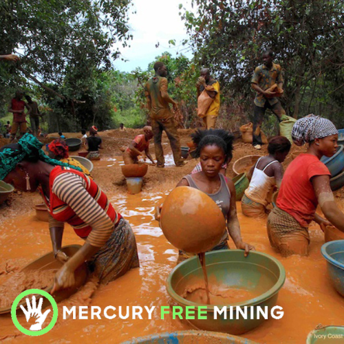 15% of Profits to Mercury-Free Mining Inc. on Giving Tuesday