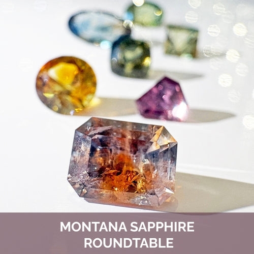 Montana Sapphire Roundtable Ticket | Aug 21  | 7 to 9 pm