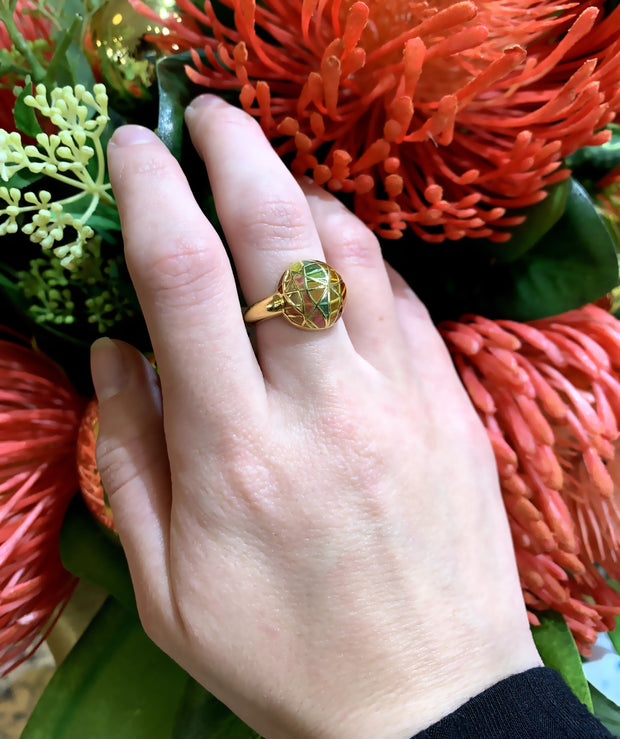 Yellow Gold and Fired Enamel Dome Ring - "Pride of Bagués"