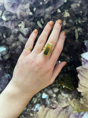 Luna Felix Bi-Color Tourmaline Ring- "Hue of Prosperity"