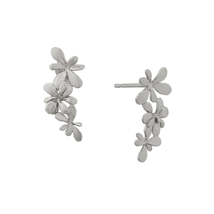 Sterling Silver Floral Stud Earrings - "Sprouting Rosette"